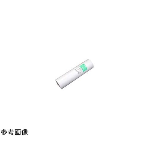 普通紙FL−N 594×200M 3イン