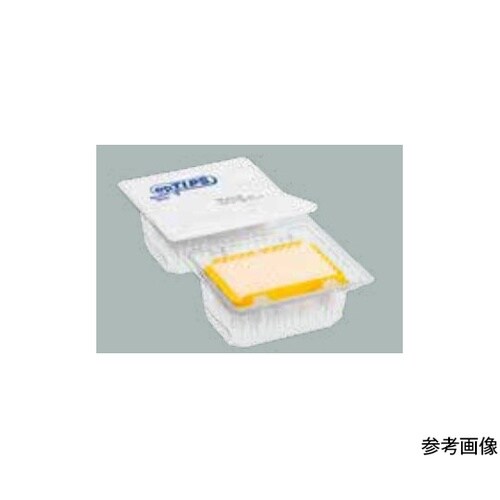 epT.I.P.S. Motion フィ