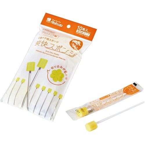 爽快スポンジ レギュラー プラスチック軸