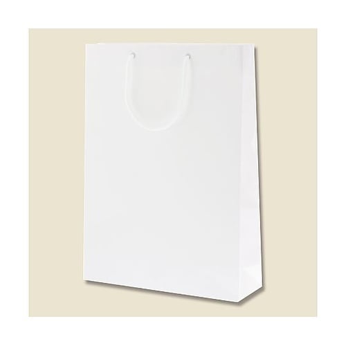 006138001 手提げ紙袋 白