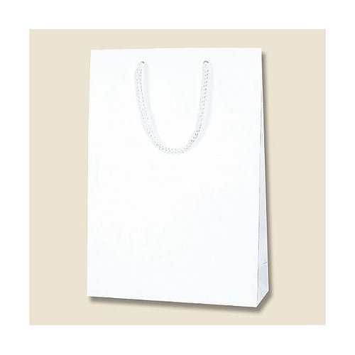 006145402 手提げ紙袋 10枚入