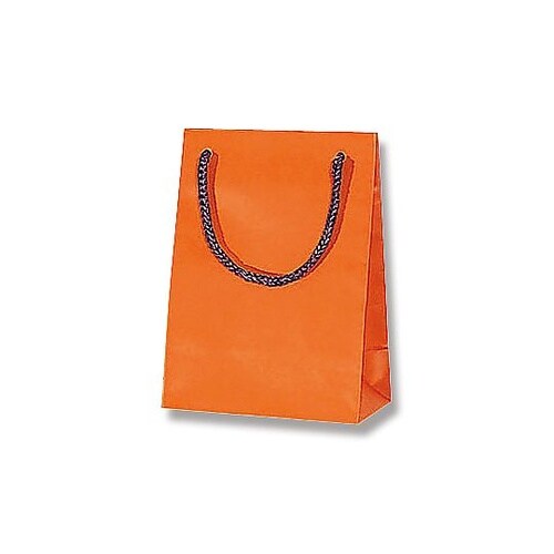 006143260 手提げ紙袋 10枚入