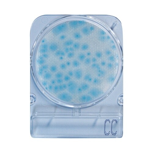 コンパクトドライ(TM) 04299 カ