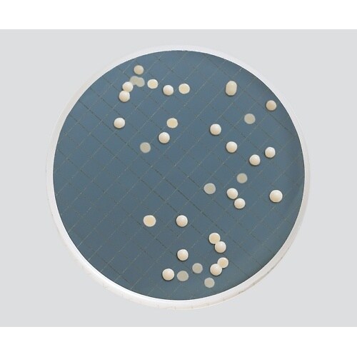 ミリフレックスプラスMXSMCSD48