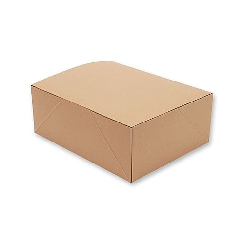 004248018 ケーキボックス LL