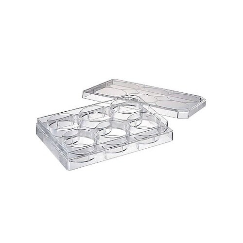 6ウェル培養プレート 浮遊細胞用 滅菌