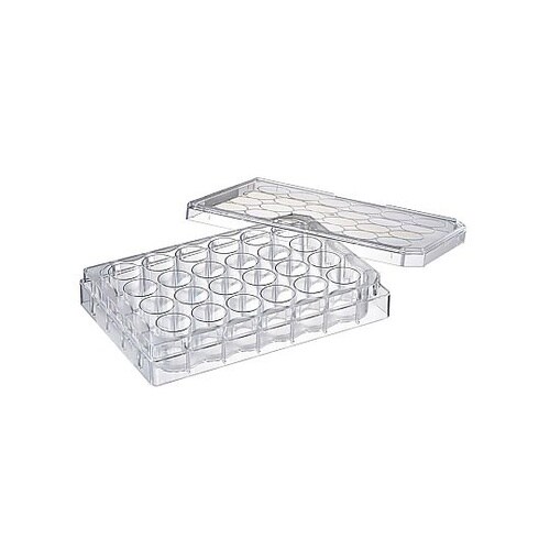 24ウェル平底プレート フタ付 滅菌