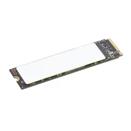 Lenovo 1TB Performance