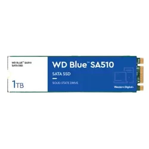 WDS100T3B0B WD Blue SA510