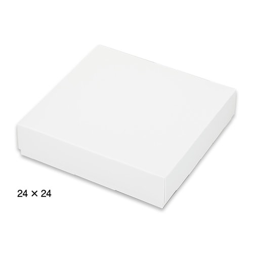 シンカセンナチュラルホワイト24x24