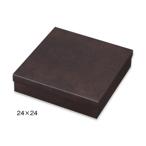 31041 シンカセンブラオン24x8