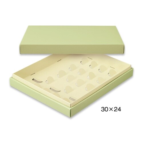 シンカセンモエカ30x24(GR+GR)