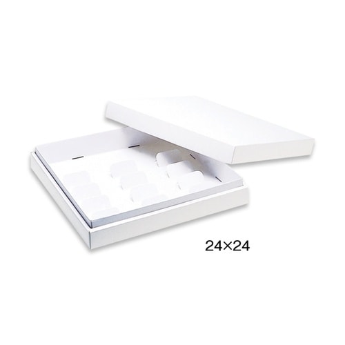 シンカセンハイホワイト24x24