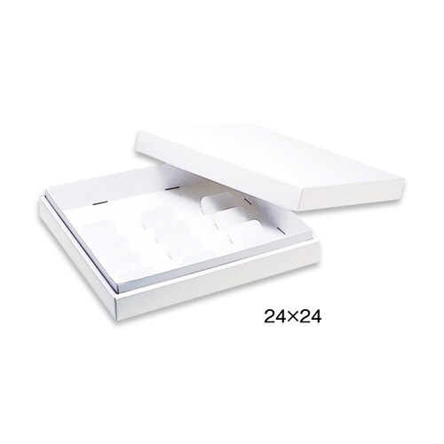 シンカセンハイホワイト32x24