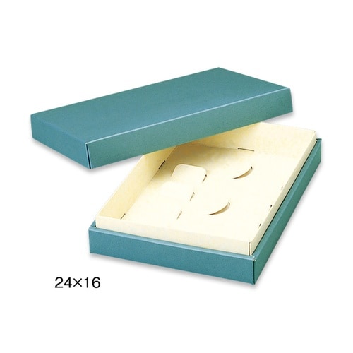 シンカセンアサギネ24X24