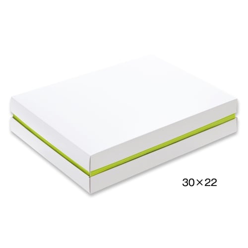 ゾートホワイティ30x22ナカハコGR