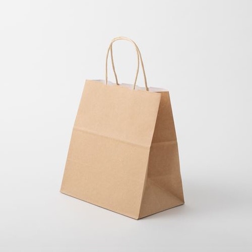 314108キャリーバッグWKS