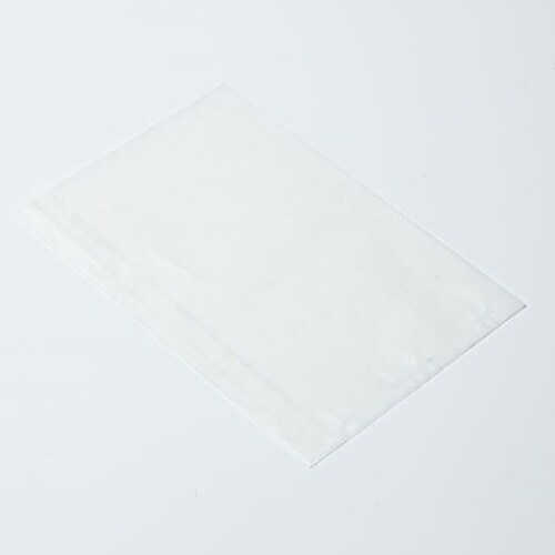 314321フラットB16レーズン01