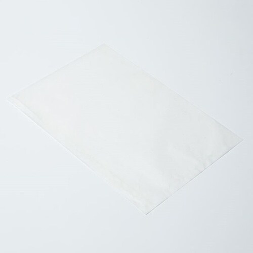 314371フラットB20レーズン01