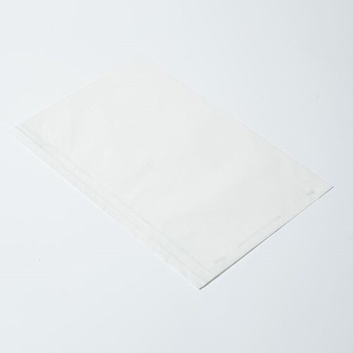 314372フラットB20レーズン02