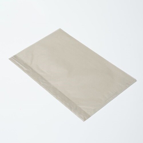 314373フラットB20レーズン03