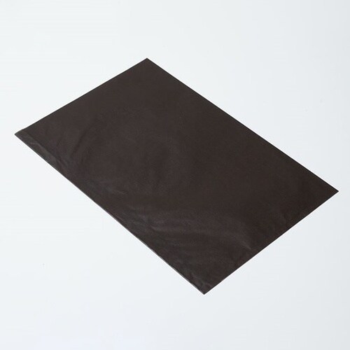 314378フラットB20レーズン08