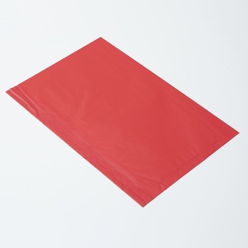 314381フラットB20レーズン11