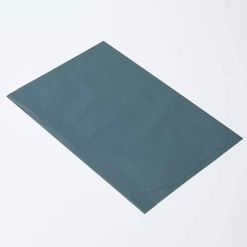 314386フラットB20レーズン16