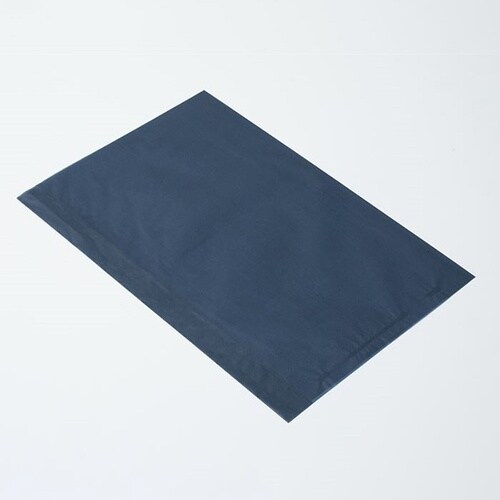 314388フラットB20レーズン18