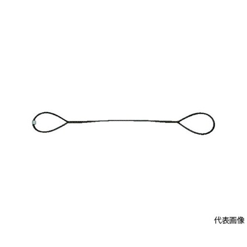 TWD6S6玉掛けワイヤロープ段落し