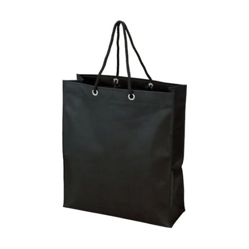 TNFB10S 不織布バッグ10枚入 黒