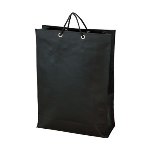 TNFB10L 不織布バッグ10枚入 黒