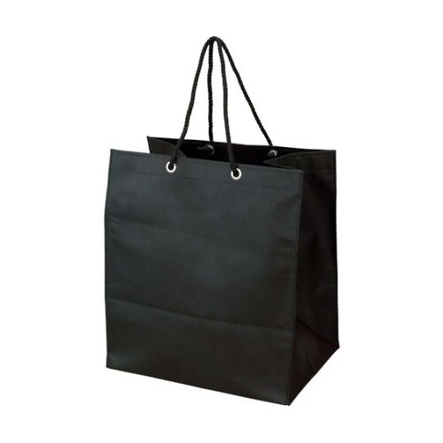 TNFB10X 不織布バッグ10枚入 黒