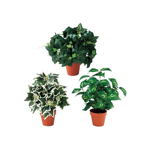 61−174−11−1 ブッシュポット