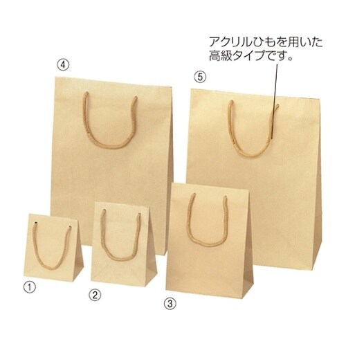 61−313−9−12 紙袋 エンボス