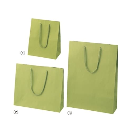 61−313−10−4 カラー手提げ紙袋