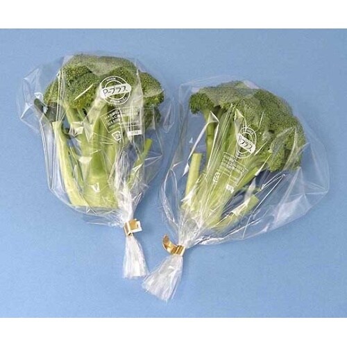 P−プラス規格袋 (ヒートシール用) ア