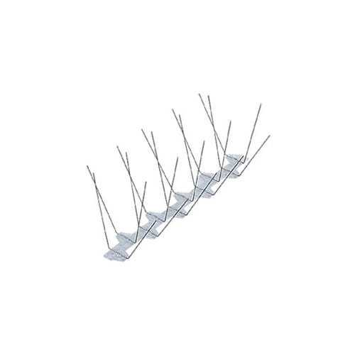 P20 アビポイント