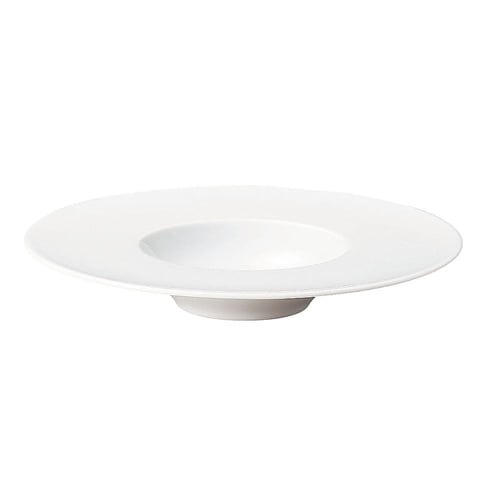 REC0901 グルメプレート 25cm