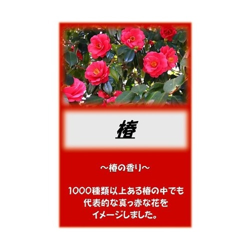 アサヒ入浴剤 椿 2.5kg