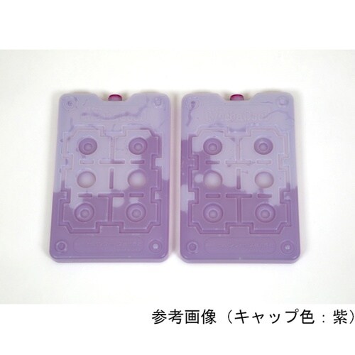 専用保冷剤メカクール−18℃500g2枚