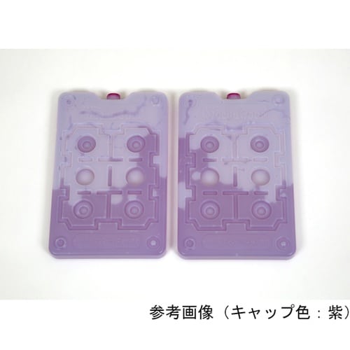 専用保冷剤メカクール冷蔵用500g2枚