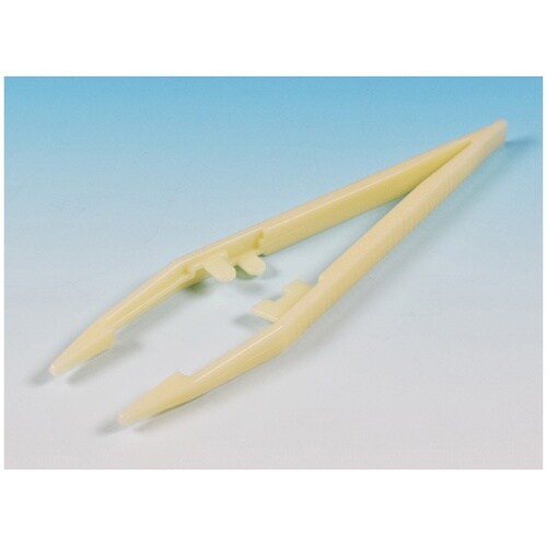 ディスポセッシ ホワイト 18cm 30