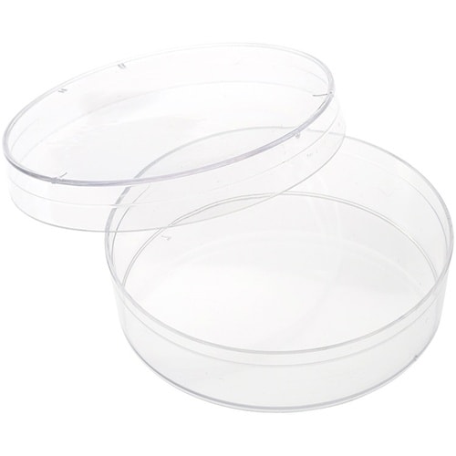 30×10mm 組織培養処理済み皿 15