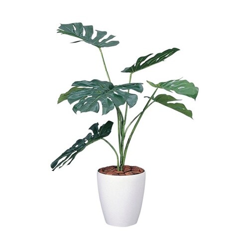 光触媒フェイクグリーン モンテスラ GF