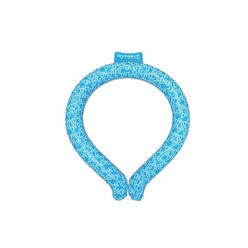 アイスリング フォントグラフィック ブル