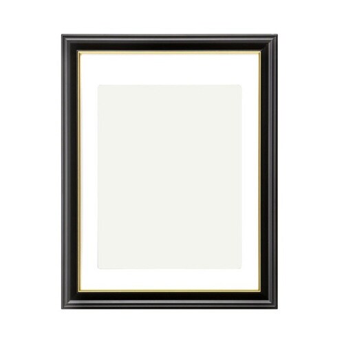 ハクバ 肖像額縁 入山 太子判サイズ 無