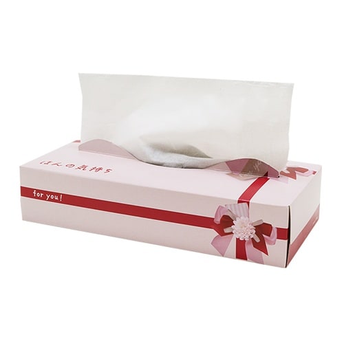 ほんの気持ちティシュ120ダブル(N)×