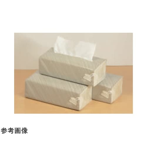 ソフトパックティッシュ EX 1ケース(