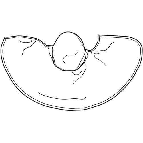 洗える頭巾 つば付き タレ有り マスク止